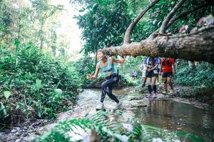 BIB: 
                            <button type="button" onclick="openModal(25442995)" class="btn btn-primary btn-sm float-right btn-popup" data-toggle="modal" data-target=".modal-high-quality">
                        <i class="fas fa-shopping-cart"></i> Add to Cart
                    </button>
                                            <button type="button" onclick="isThisMe(25442995, true)" class="btn btn-success btn-sm float-right btn-popup btn-isme hidden" data-toggle="tooltip" data-placement="bottom" title="นี่คือรูปของคุณใช่ไหม คลิกที่นี่เพื่อเอาเข้าอัลบั้ม">
                        <i class="fas fa-plus"></i> Add to album
                    </button>
                    <button type="button" onclick="isThisMe(25442995, false)" class="btn btn-warning btn-sm float-right btn-popup btn-isnotme hidden">
                        <i class="fas fa-ban"></i> Remove from album
                    </button>